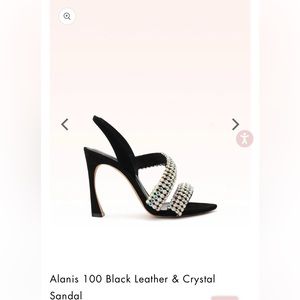 Alexandre Birman Alanis 100 Black